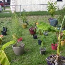 Profile Picture of Rodolfo Acosta (@acostafuentes12) on Twitter