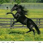 Profile Picture of Mario Calvia (@mario.calvia) on Instagram