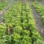 Profile Picture of Bàsale Baidi (@Bàsale-Baidi) on Facebook