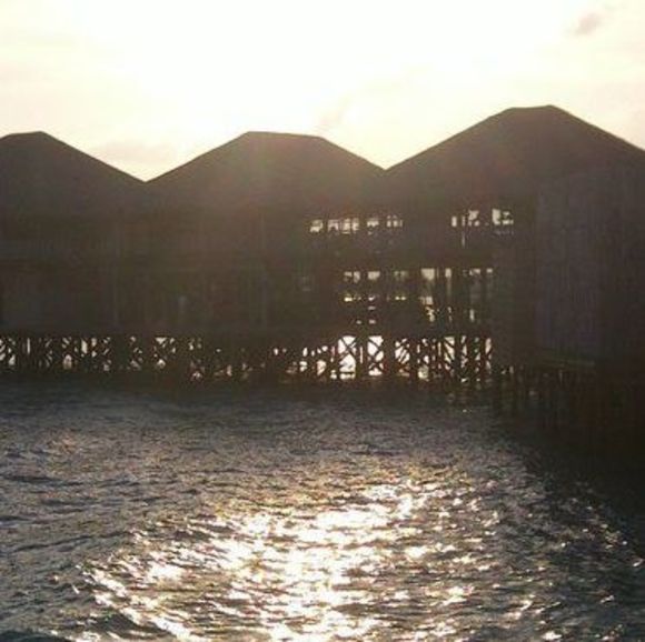 Profile Picture of Elbert Wu (@elbertwu2012) on Poshmark