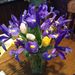 Profile Picture of Pam Colwell (@pamcolwell13) on Pinterest