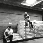 Profile Picture of Jason Dean (@achillesrip4ever) on Instagram