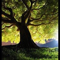 Profile Picture of Good Ol Alice Kay (@good-ol-alice-kay) on Quora