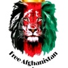 Profile Picture of Imran Hameedi (@@imranhameedi) on Tiktok