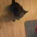 Profile Picture of Wilbur Alexander (@wilbur.alexander.92) on Facebook