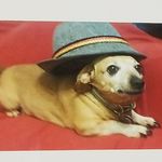 Profile Picture of Robert Lindquist (@a20gageshotty) on Instagram