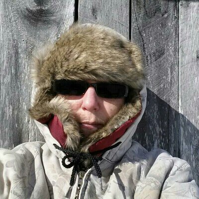 Profile Picture of Lisa Keever (@lwkeever) on Twitter
