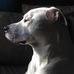 Profile Picture of Darren Brewer (@darren.brewer.315) on Facebook