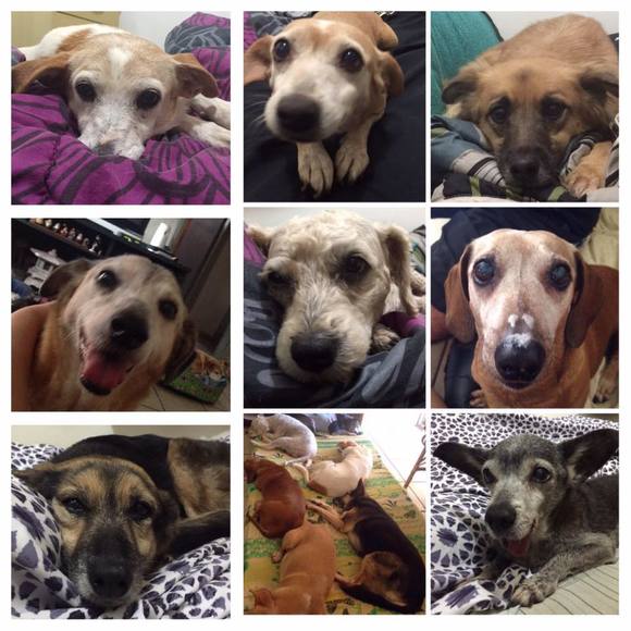 Profile Picture of Lucy Sugauara (@lucy_sugauara) on Poshmark