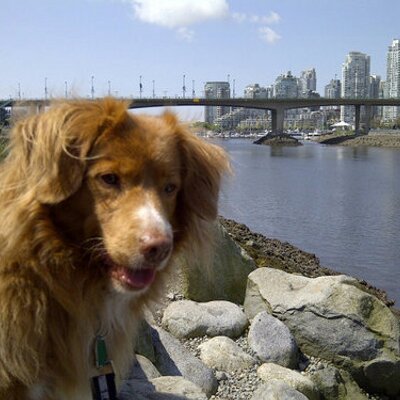 Profile Picture of Dan (@Dan_Bougie) on Twitter