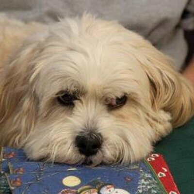 Profile Picture of Debbi Giroux (@DebbiAnneWalton) on Twitter