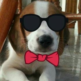 Profile Picture of Albert Arreola (@alarre12) on Pinterest