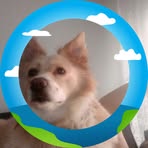 Profile Picture of Marysia Jackowska (@zuzia.jackowska.754) on Facebook