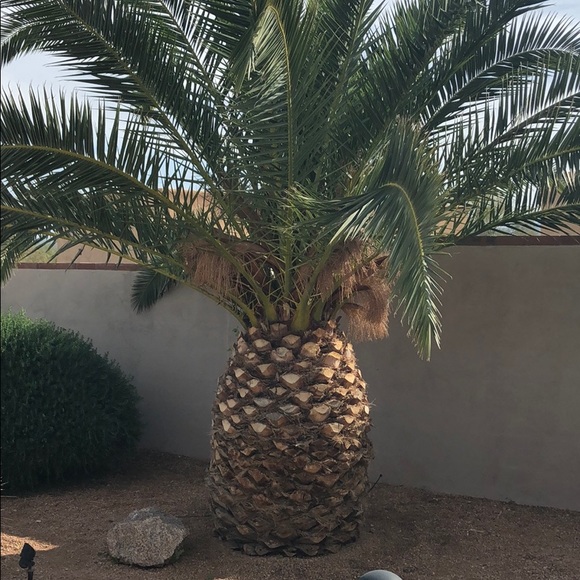 Ms Czinaz - Poshmark Profile Picture of Ms Czinaz (@drczech3) on Poshmark