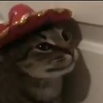 Profile Picture of Matthias Pfluger (@matthias_pfluger) on Instagram