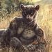Profile Picture of Reid Anderson (@reidanderson201) on Pinterest