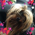 Laura Di Giorgio - Instagram Profile Picture of Laura Di Giorgio (@laura.digiorgio.50) on Instagram