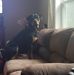 Profile Picture of Susan Palmer (@susan.palmer.58) on Facebook