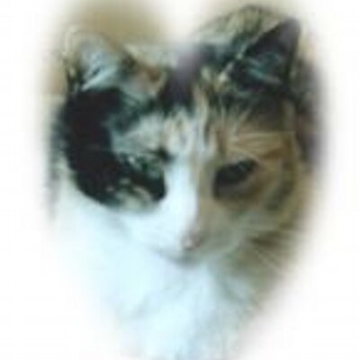 Profile Picture of Debra D Tessier (@Debt4b) on Twitter