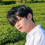 Profile Picture of Jeon Changha (@chang._.a) on Instagram