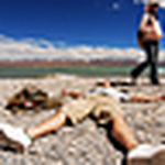 Profile Picture of David Yang (@kobasara) on Flickr