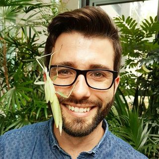 Profile Picture of Dr Bryan Lessard (@bry_the_fly_guy) on Instagram