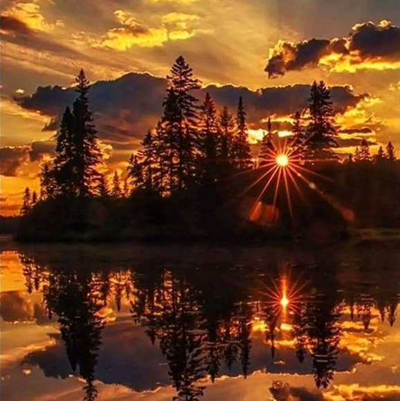 Profile Picture of Danielle Selvig (@danielle0687) on Poshmark