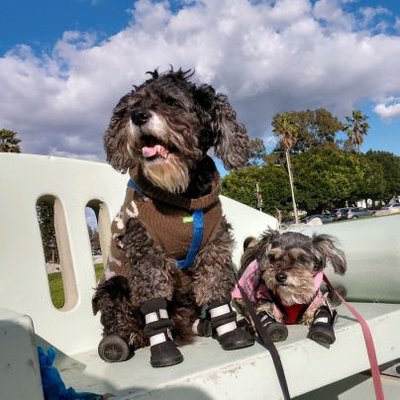 Profile Picture of Matt Lampe (@LampeMatt) on Twitter