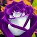 Profile Picture of Lisa Tullos (@tullos_lisa) on Twitter