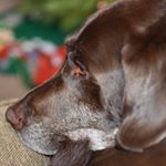 Profile Picture of Joshua Kelley (@josh_kelley42) on Instagram