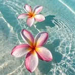 Profile Picture of Mirna Reyes (@Mirna-Reyes) on Facebook