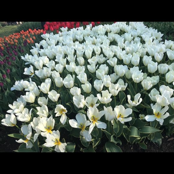 Profile Picture of Coy Quasney (@coyquasney1) on Poshmark