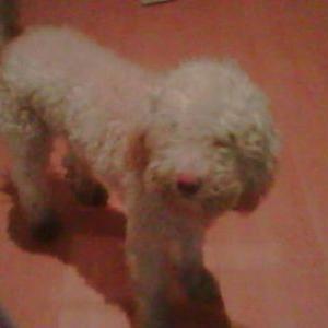 Profile Picture of Michael Leyes (@LeyesMichael) on Twitter