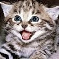 Profile Picture of Issra Saymeh (@issra-saymeh) on Quora