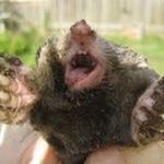 Profile Picture of Daniel Keeley (@daniel.keeley) on Instagram