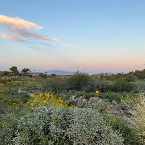 Profile Picture of Isabelle Gibbs (@isabellegibbs15) on Poshmark