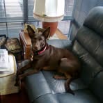 Profile Picture of Peter Malloy (@Peter-Malloy) on Facebook