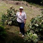 Profile Picture of Amanda Guillen Oda (@mandy.3307) on Instagram