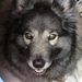 Profile Picture of Michael Wuchitech (@mwuchitech) on Pinterest