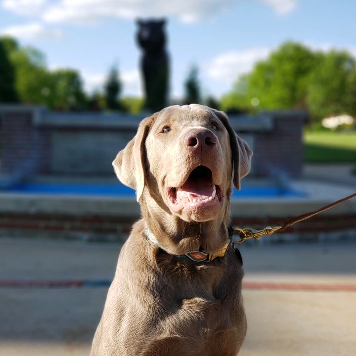 Profile Picture of Nicholas Stone (@@nicholasstone92) on Tiktok