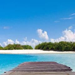 Profile Picture of Cherry Foster (@cherryp01) on Twitter