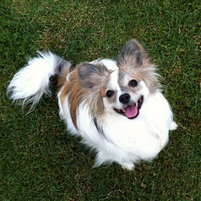 Profile Picture of Kyle Addis (@@ky1eaddis) on Twitter
