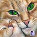Profile Picture of Maria Noel Piccotto (@marianoelpiccotto) on Pinterest