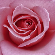 Profile Picture of Simone Becker (@simonedealmeidacruz) on Youtube