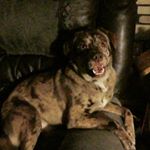 Profile Picture of Jeffrey Tarr (@jeffreyt68) on Instagram