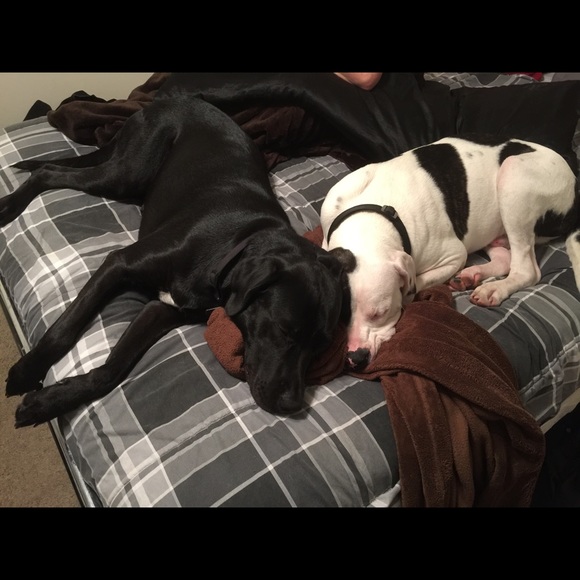 Profile Picture of Shawn Redmond (@sredmond3) on Poshmark