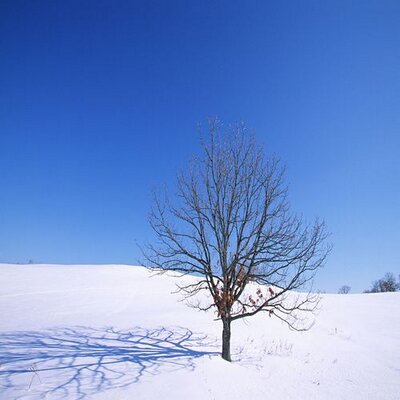 Profile Picture of Daniel Armbruster (@DanielArmbruste) on Twitter
