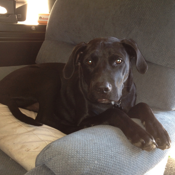 Profile Picture of Shelby Cionko (@shelbs123) on Poshmark