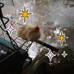 Profile Picture of James Bellen (@James-Bellen) on Facebook