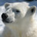 Profile Picture of Jacques Lambert (@jacques lambert) on Flickr